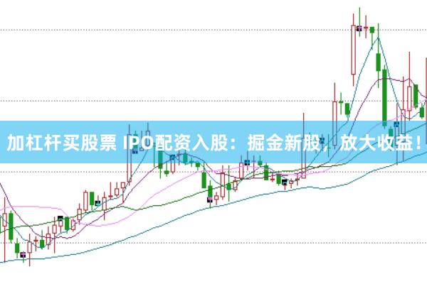 加杠杆买股票 IPO配资入股：掘金新股，放大收益！