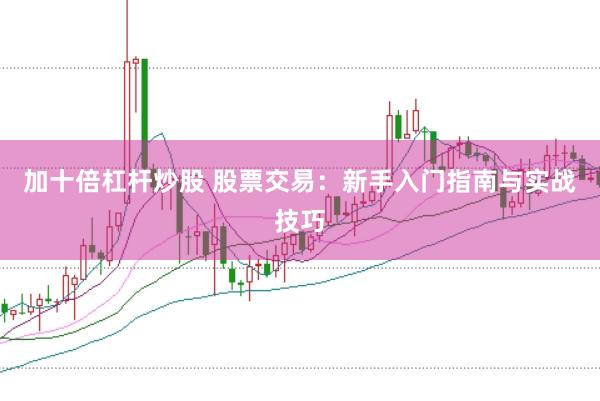 加十倍杠杆炒股 股票交易：新手入门指南与实战技巧