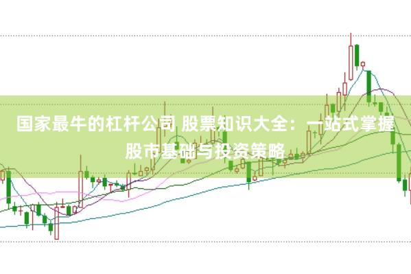国家最牛的杠杆公司 股票知识大全：一站式掌握股市基础与投资策略