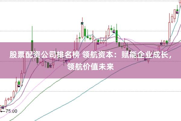 股票配资公司排名榜 领航资本：赋能企业成长，领航价值未来