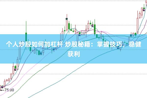 个人炒股如何加杠杆 炒股秘籍:掌握技巧,稳健获利