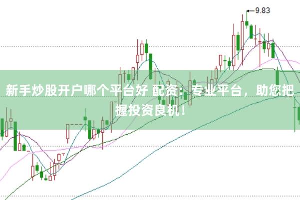 新手炒股开户哪个平台好 配资：专业平台，助您把握投资良机！