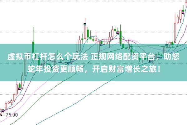 虚拟币杠杆怎么个玩法 正规网络配资平台，助您蛇年投资更顺畅，开启财富增长之旅！