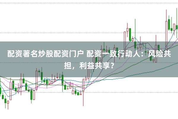 配资著名炒股配资门户 配资一致行动人：风险共担，利益共享？