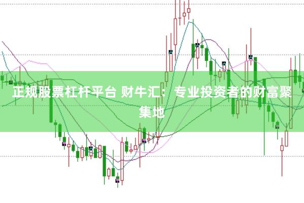 正规股票杠杆平台 财牛汇:专业投资者的财富聚集地