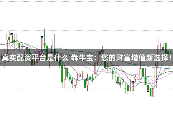 真实配资平台是什么 犇牛宝：您的财富增值新选择！