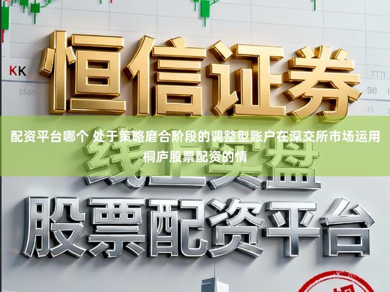 配资平台哪个 处于策略磨合阶段的调整型账户在深交所市场运用桐庐股票配资的情