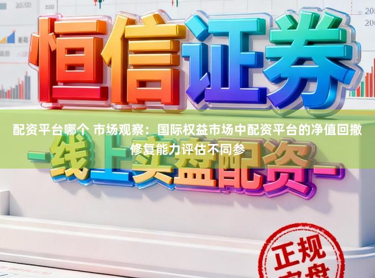 配资平台哪个 市场观察：国际权益市场中配资平台的净值回撤修复能力评估不同参