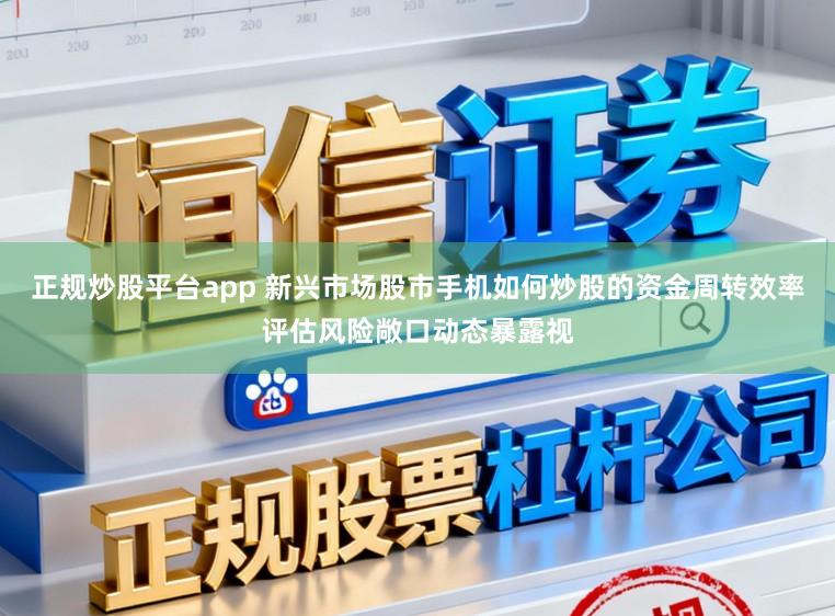 正规炒股平台app 新兴市场股市手机如何炒股的资金周转效率评估风险敞口动态暴露视