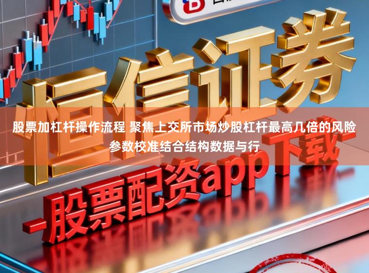 股票加杠杆操作流程 聚焦上交所市场炒股杠杆最高几倍的风险参数校准结合结构数据与行