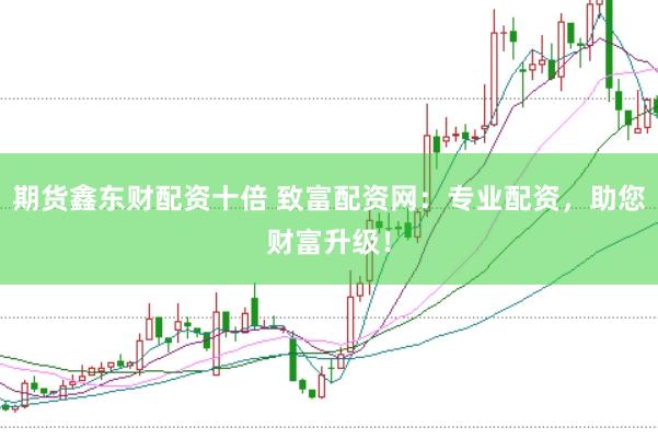 期货鑫东财配资十倍 致富配资网：专业配资，助您财富升级！