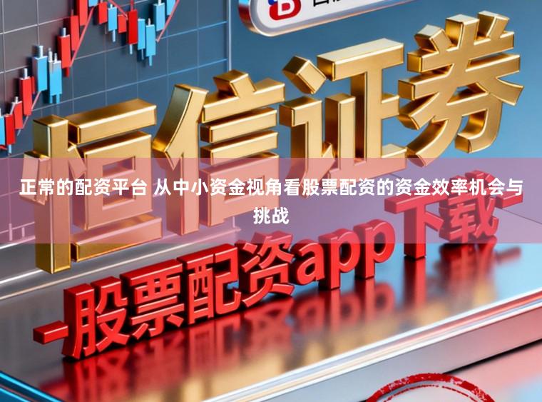 正常的配资平台 从中小资金视角看股票配资的资金效率机会与挑战